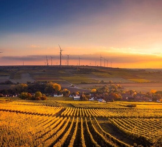 German wind power lead renewables